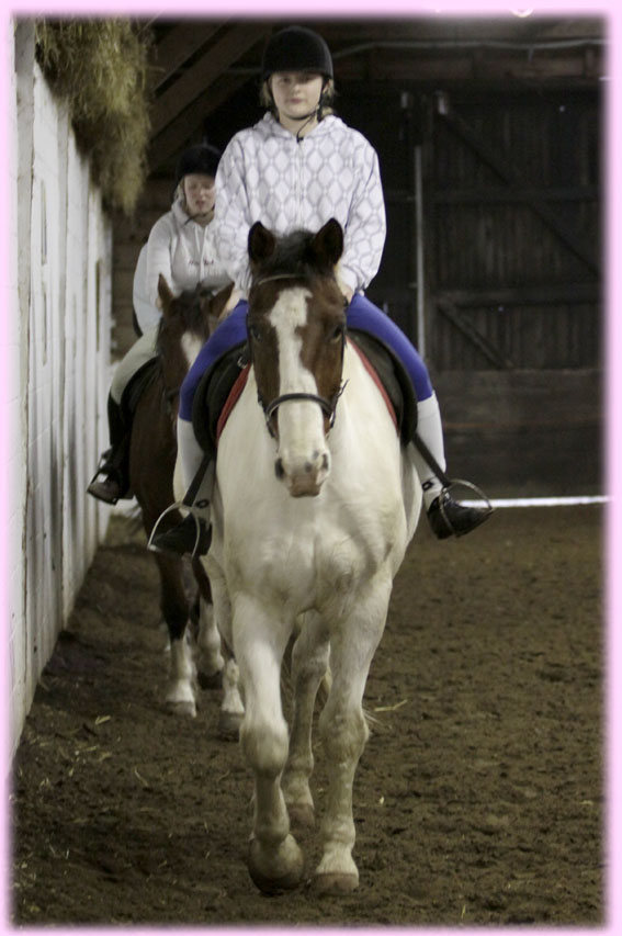 equitation